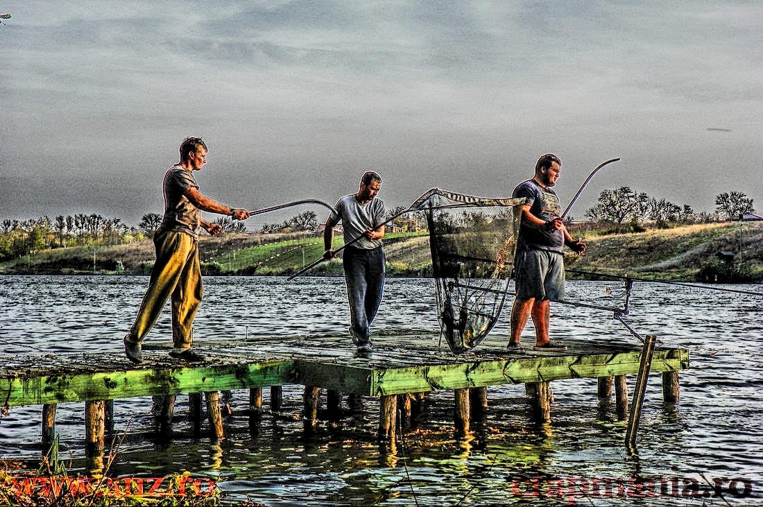 Cupa Iernii 2013 - 1032006hdrmode2.jpg